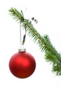 Red Christmas tree bauble Royalty Free Stock Photo