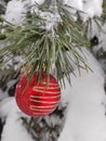 Red Christmas tree toy on a snowy Christmas tree in winter in the forest