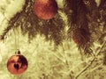 Red christmass balls on spruce tree branch Royalty Free Stock Photo