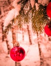 Red christmass balls on spruce tree branch Royalty Free Stock Photo