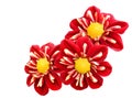 Red chrysanthemum dahlia Royalty Free Stock Photo