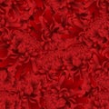 Red Chrysanthemum, Kiku Japanese Flower Seamless Background. Vector Illustration