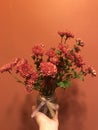 The red chrysanthemum in vase on Christmas day.