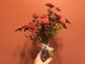 The red chrysanthemum in vase on Christmas day.