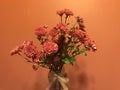 The red chrysanthemum in vase on Christmas day.