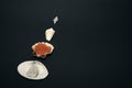 Red chum salmon caviar in an oyster shell, next to a starfish and shells of various shapes. Royalty Free Stock Photo