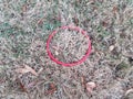 Red circular ring on brown and green grass