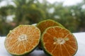 Red citrus fruit with a green skin on a background of palm trees macro