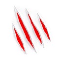 Red claw scratches marks on torn paper Royalty Free Stock Photo