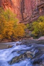 Red Cliffs Autun Leaves and Blue Virgin River Waterfall Royalty Free Stock Photo