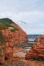 Red cliffs in Devon.