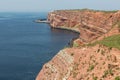 Red Cliffs of German island Helgoland with nesting seabirds