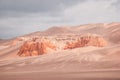 Red cliffs of Khermen Tsav canyon. Gobi deser