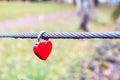 Red clip on a metal rope in the shape of a heart on a green grass background Royalty Free Stock Photo