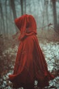 Red cloak in the fog Royalty Free Stock Photo