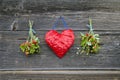 Red cloth heart and two bunch wild strawberry on wall Royalty Free Stock Photo