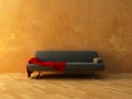 Red cloth on sofa