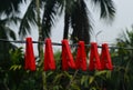 Red clothes pin hanging on a cable Royalty Free Stock Photo