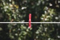 Red clothespin on a cord line Royalty Free Stock Photo