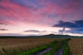 Red clouds at sunset and crop field