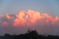 Red clouds sunset cumulus horizon cirrus natural