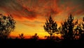 Red clouds after sunset