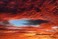 Red cloudscape with blue fallstreak hole in cirrocumulus clouds at evening twilight