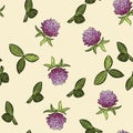 Red clover botanical boho seamless pattern. Victorian flowers cote cozy wallpaper print. Vector illustration cartoon style boho