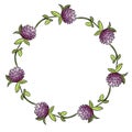 Red clover botanical wreath ornament. Vector illustration