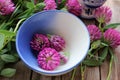 Red clover flowers in a bowl prepared for herbal tea or infusion. Natural wooden background Royalty Free Stock Photo