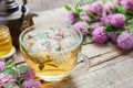 Red clover flowers, healthy herbal tea cup, honey jar and vintage copper tea kettle.