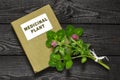 Red clover (Trifolium pratense) and directory medicinal plant Royalty Free Stock Photo