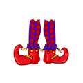 Red clown shoes and legs on white background. Royalty Free Stock Photo