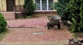 Freshly laid, with paving stones, driveway in front of the house. Royalty Free Stock Photo