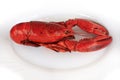 Red cocked lobster Royalty Free Stock Photo