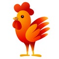 Red Cockerel. Cartoon bird character. White background. Vector illustration.