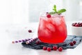 Red cocktail with cranberry, vodka, mint and ice.