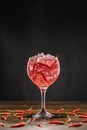 Red cocktail in a glass with ice and chili peppers. Valentine`s Day Concept Royalty Free Stock Photo