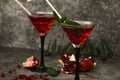 Red cocktail with pomegranate juice in a martini glass with ice on a gray background. Red cocktail with martini and pomegranate ju Royalty Free Stock Photo