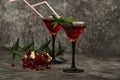 Red cocktail with pomegranate juice in a martini glass with ice on a gray background. Red cocktail with martini and pomegranate ju Royalty Free Stock Photo