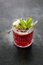 Red cocktail, drink with ice cubes, garnished with mint and lemon, on black stone background, selective focus. Royalty Free Stock Photo