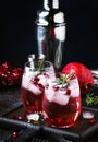 Red cocktail vodka pomegranate juice, with ice and rosemary, bar tools, blue bar counter background, top view