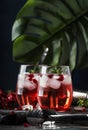 Red cocktail vodka pomegranate juice, with ice and rosemary, bar tools, blue bar counter background, top view