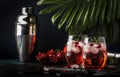Red cocktail vodka pomegranate juice, with ice and rosemary, bar tools, blue bar counter background, top view