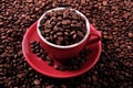 Red coffee cup filled with roasted beans closeup top view Royalty Free Stock Photo