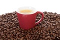 Red coffee cup on pile of beans Royalty Free Stock Photo