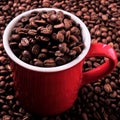 Red coffee mug filled with beans closeup square format Royalty Free Stock Photo