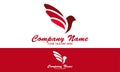 Red Color Beautiful Fast Wing Bird Logo Design Royalty Free Stock Photo