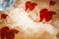 Red color fighting fish, moving in the air, With clouds, moon, stars, and waves. Royalty Free Stock Photo