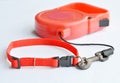 Red color matching of automatic leash and nylon pet collar on white background